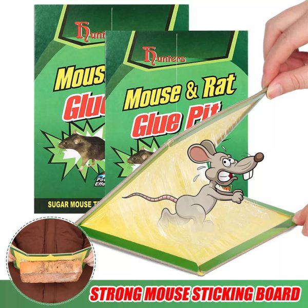 Mouse And Rat Glue Board (book Type)