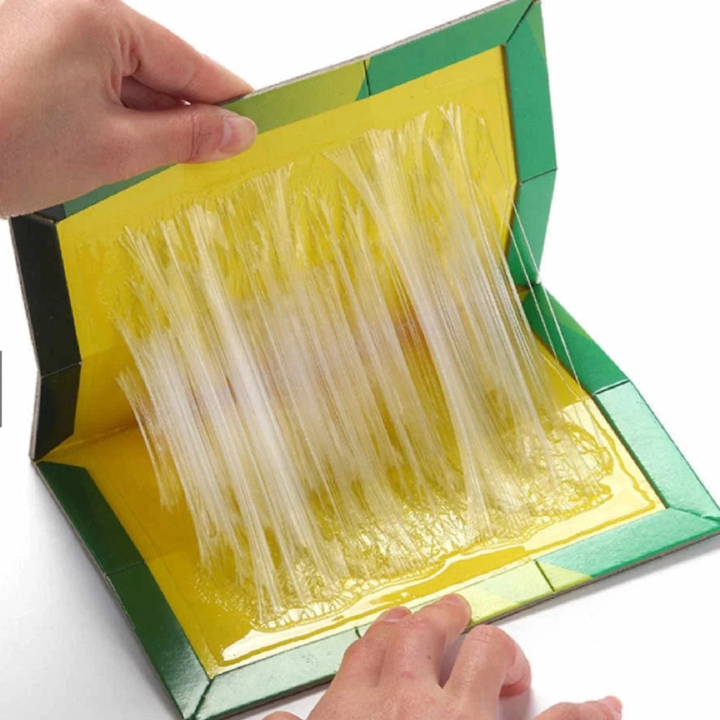 Mouse And Rat Glue Board (book Type)