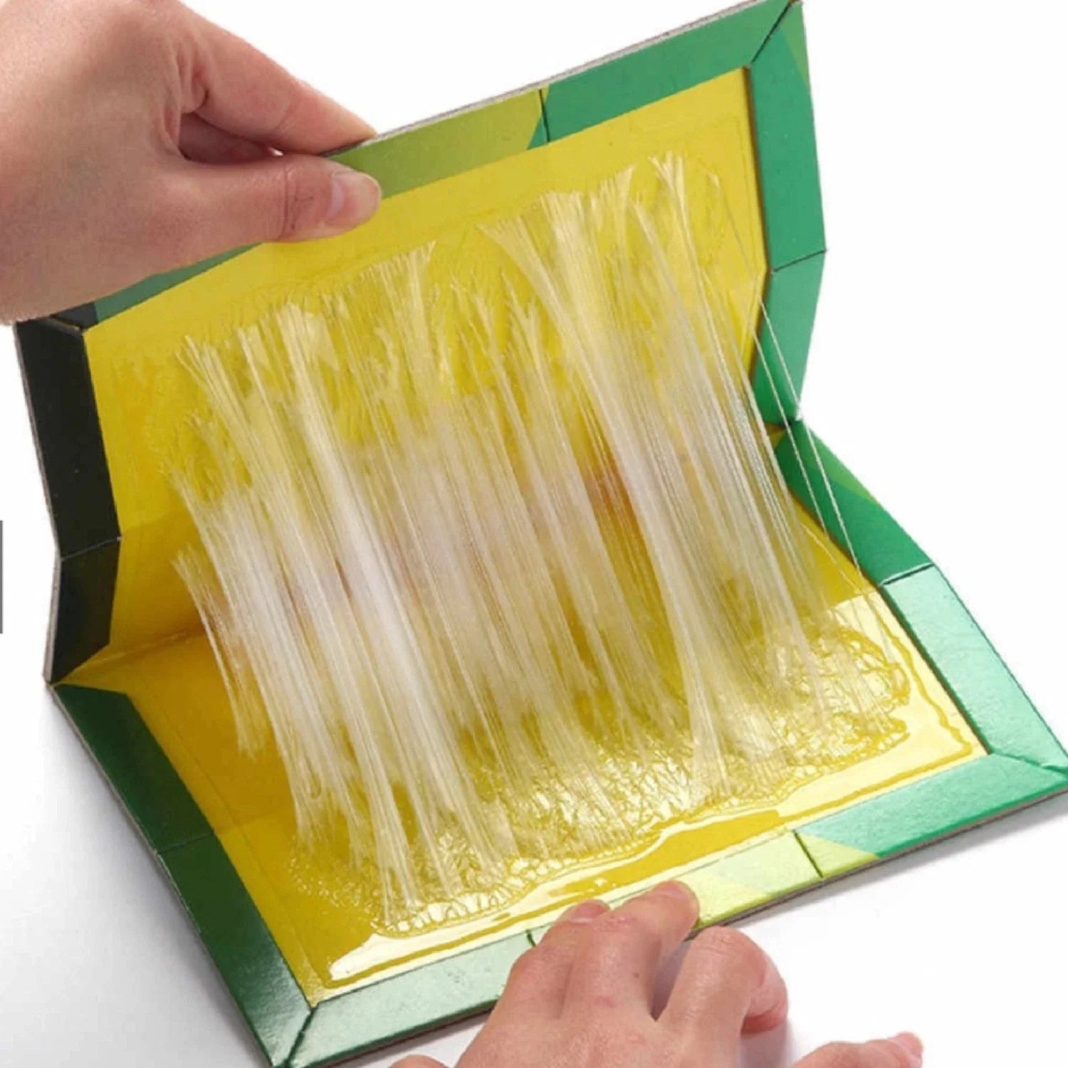 Mouse And Rat Glue Board (book Type)